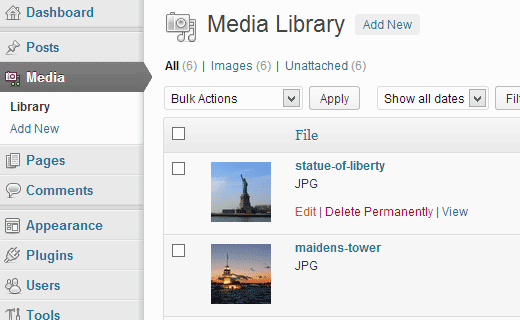 media-library-edit[1]