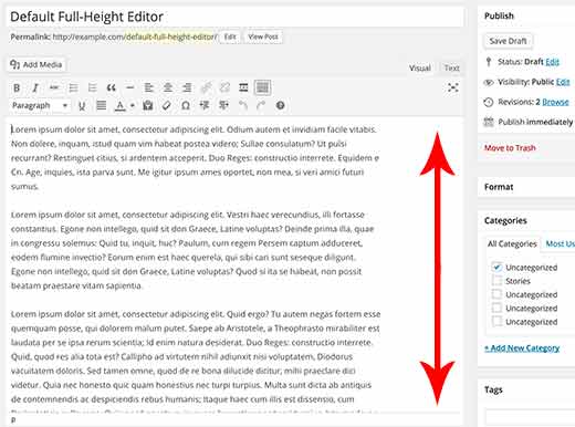 default-full-height-editor-wordpress[1]