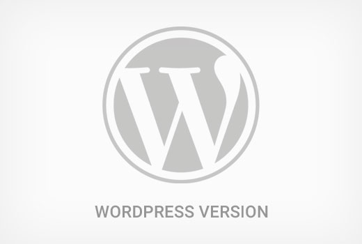 wordpress-version-info[1]