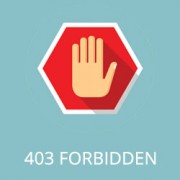 403 forbidden на телефоне как исправить